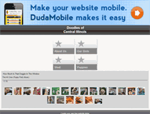 Tablet Screenshot of doodlesofcentralillinois.com